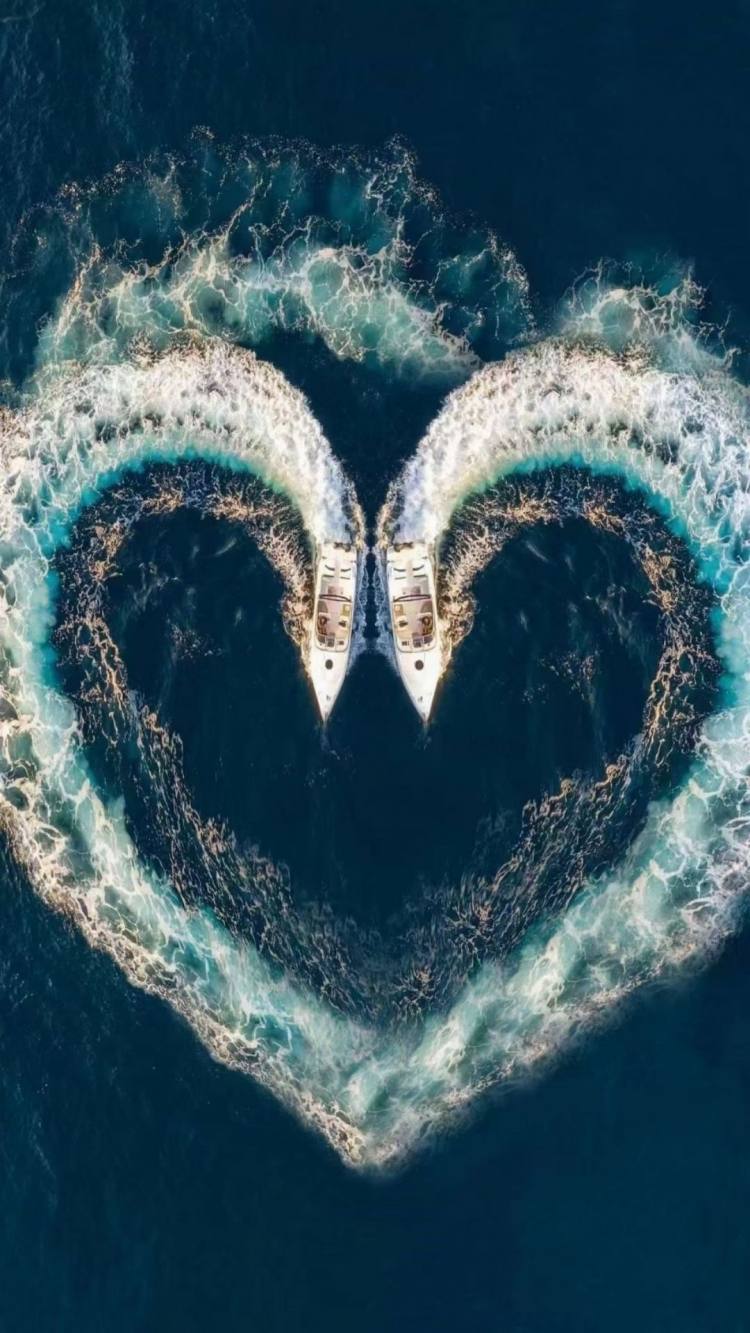 微信图片_20240720182658