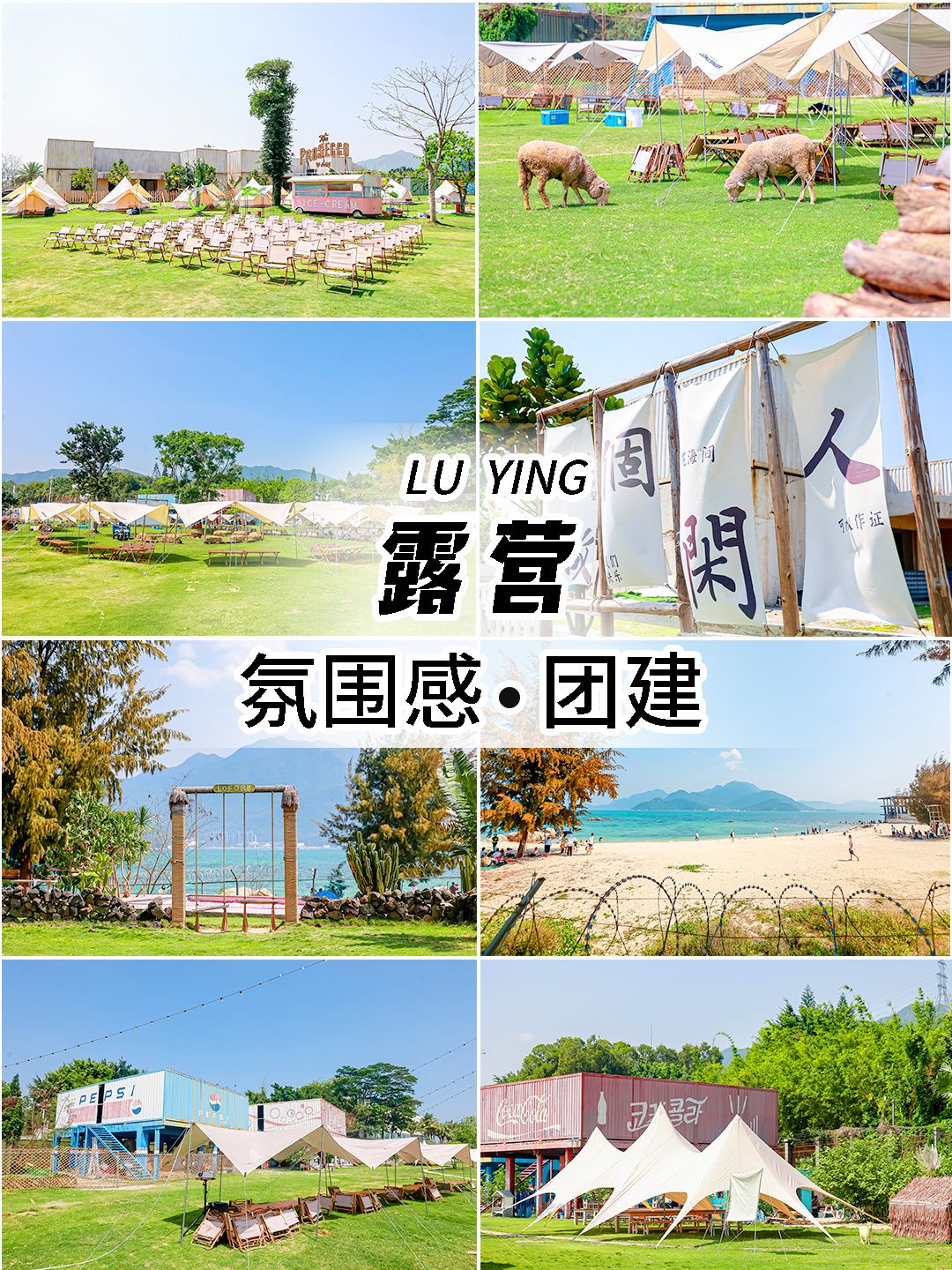 微信图片_20240720123135