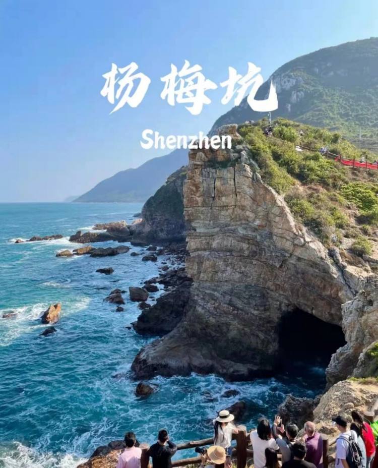 微信图片_20240725140211