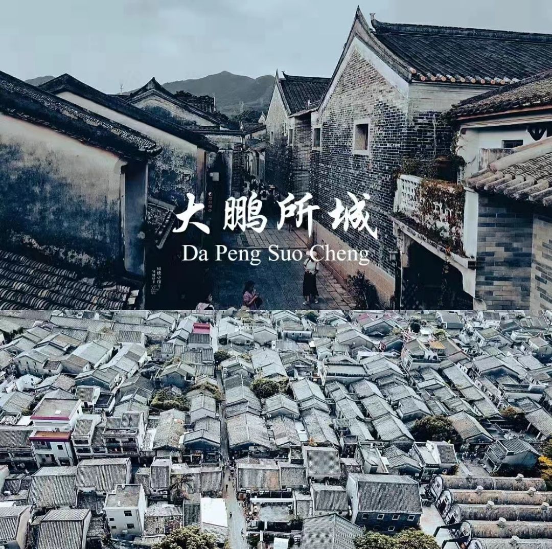 微信图片_20240725140203
