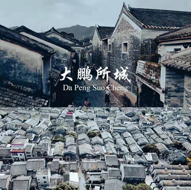 微信图片_20240725140203
