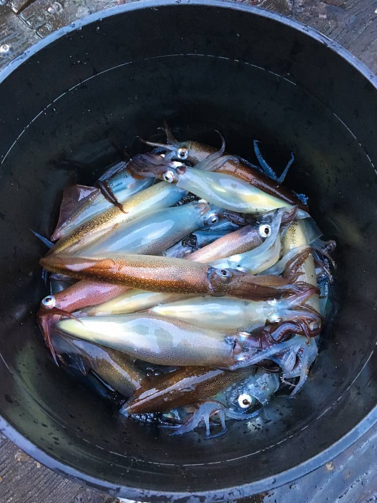 微信图片_20251015170047