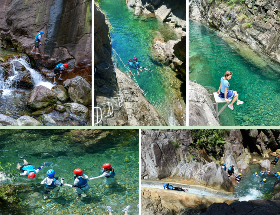 wechat_2026-04-01_091313_958