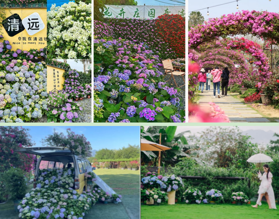 wechat_2026-04-01_091546_326