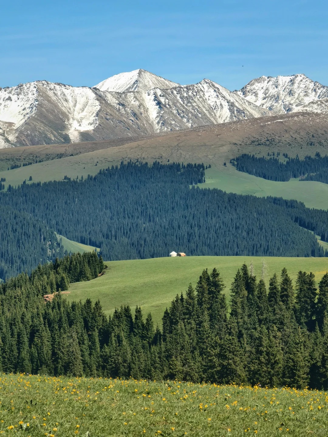 「新疆自驾」漫步北境 · 12日边境秘境深度探索
