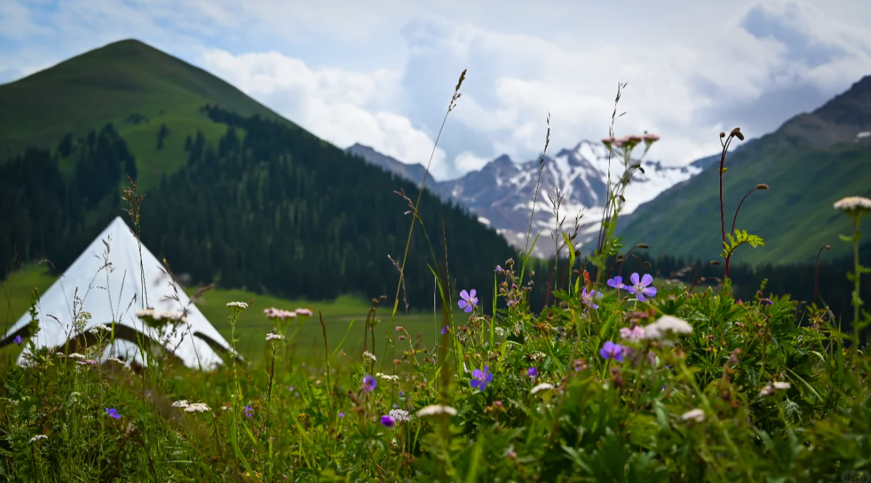 ScreenShot_2026-04-23_161823_933