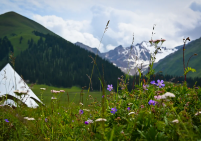 大美新疆，车轮上的极致旅程：2026新疆自驾游全攻略！