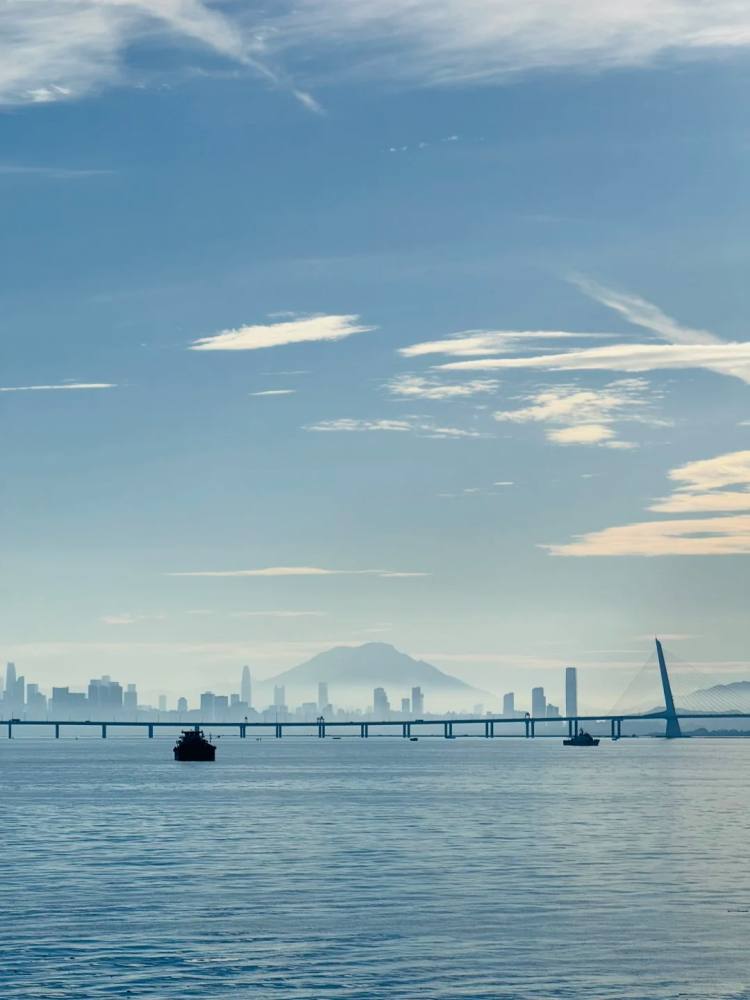 带娃游深圳蛇口邮轮港珠澳大桥航线_5_星空下的Lillian