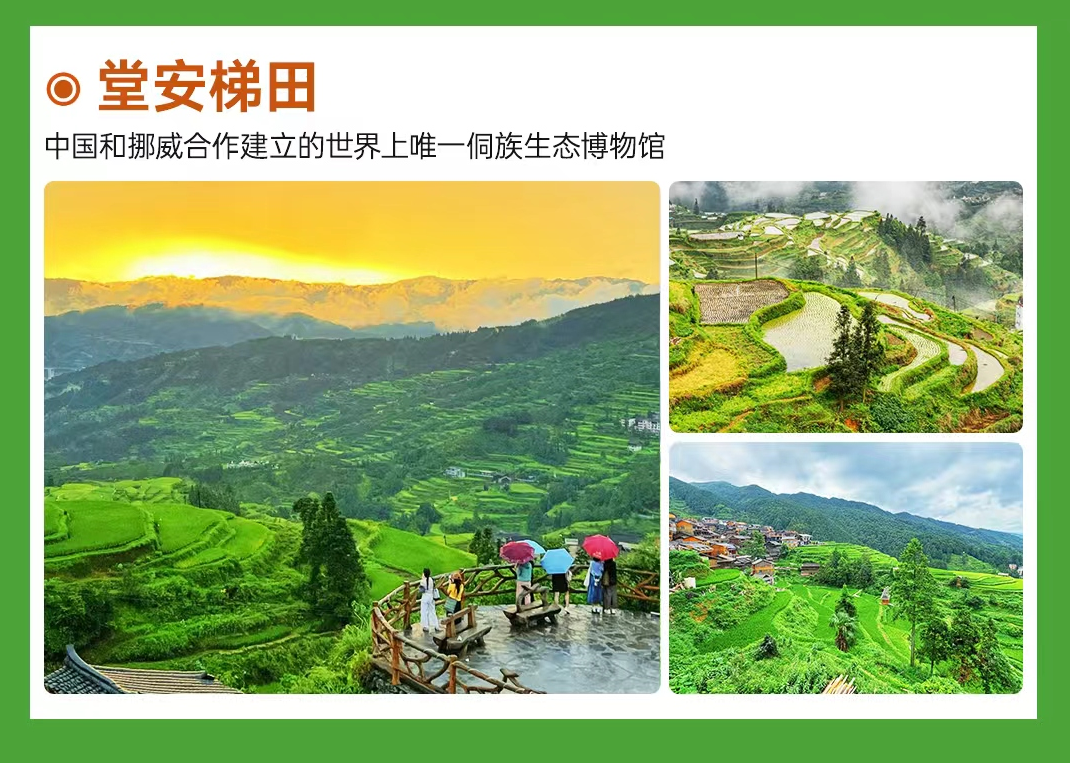 微信图片_2026-05-15_095935_374_2