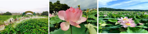 图片2 图片2